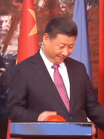 382611bb0453a88891276d7a47fa5a50_3690b17d246f4281ae093281a22eb2cf.gif