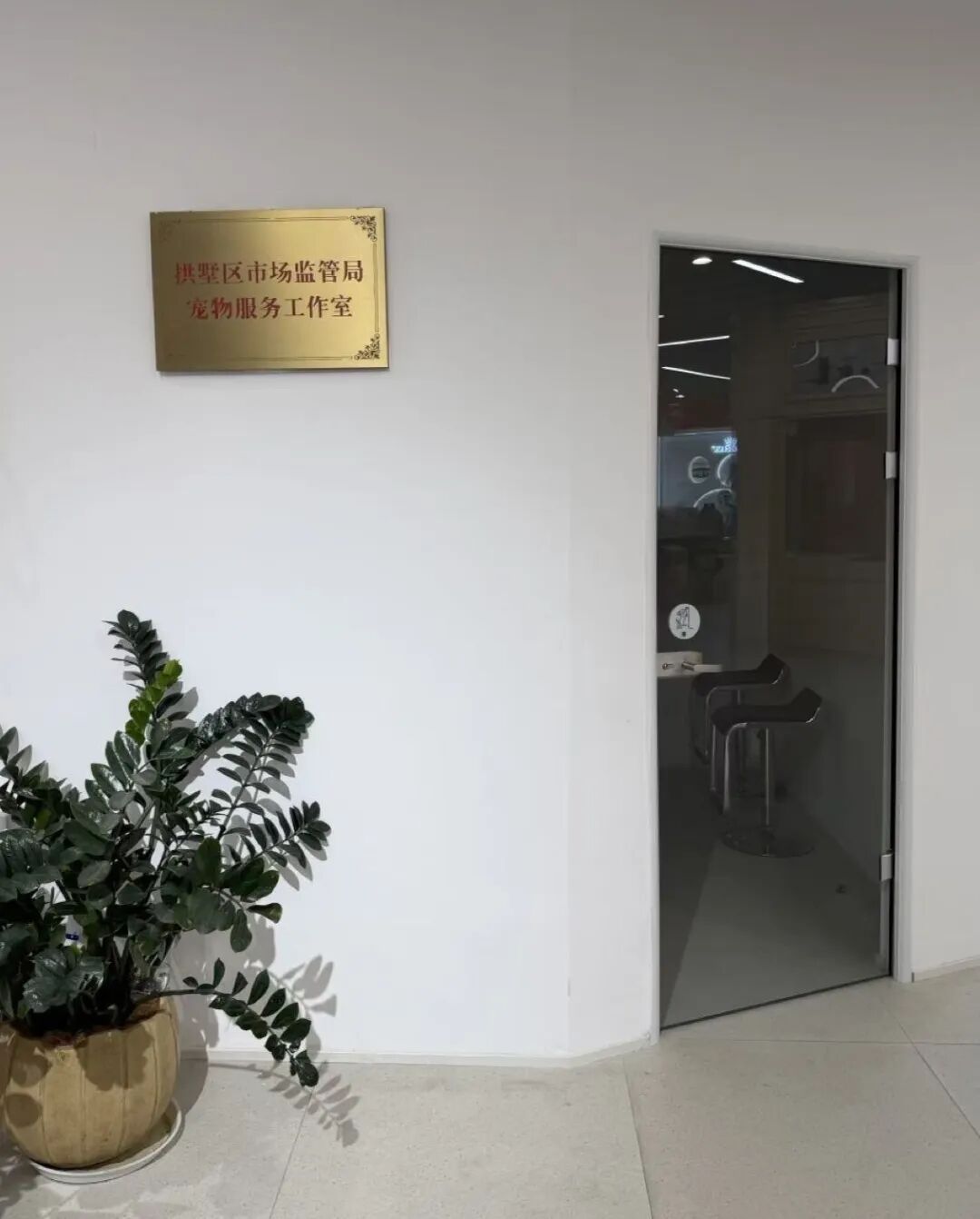 宠物服务工作室.jpg