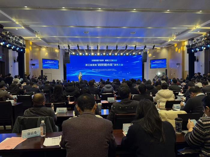 发布大会现场 记者 陈雷 摄