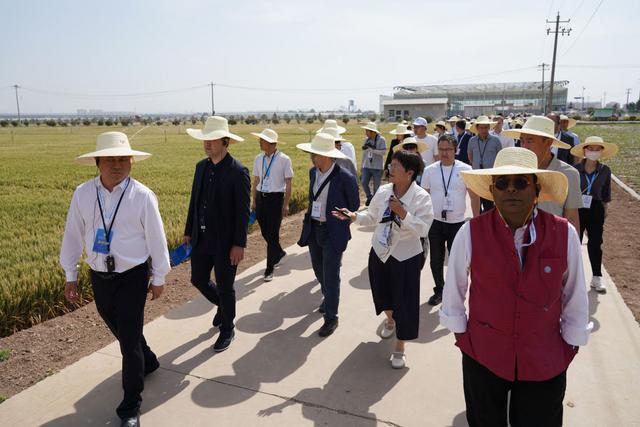 2025年5月19日,上海合作组织减贫和可持续发展论坛与会人员在陕西杨凌参观旱区农业节水技术与装备田间展。新华社记者 邵瑞 摄