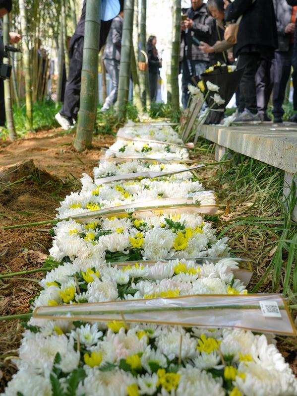 安吉县第十二届“竹之韵”公益生态葬活动在安吉龙山源举行。受访者供图