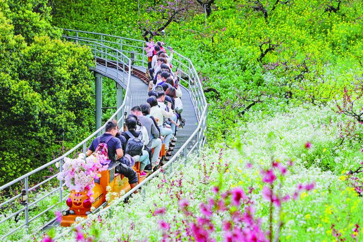 4月5日,游客在长兴县和平镇城山沟景区踏青赏花。通讯员 谭云俸 摄