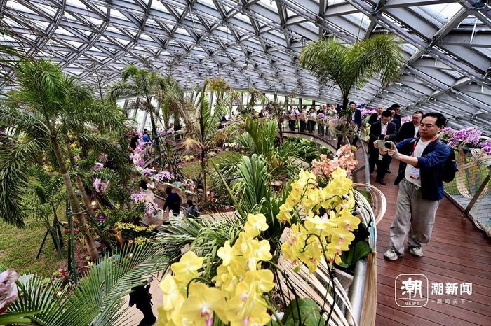 4月15日,游客在温州园博园南园的葳蕤馆观赏各类植物。记者 徐彦 林云龙 摄