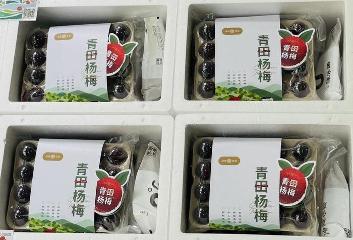 青田杨梅采用颗粒包装加冷链运输发往全国各地。受访者供图