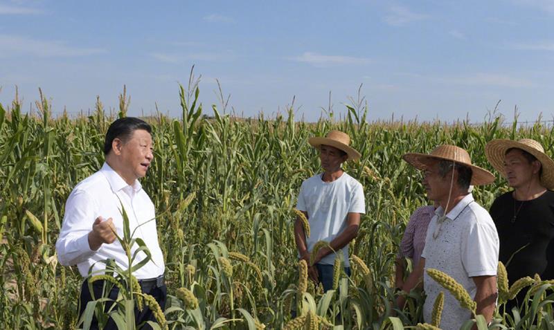△2021年9月13日,习近平总书记在前往陕西米脂县高西沟村考察调研途中临时下车,察看粮食作物长势,同正在田间劳作的老乡拉家常。