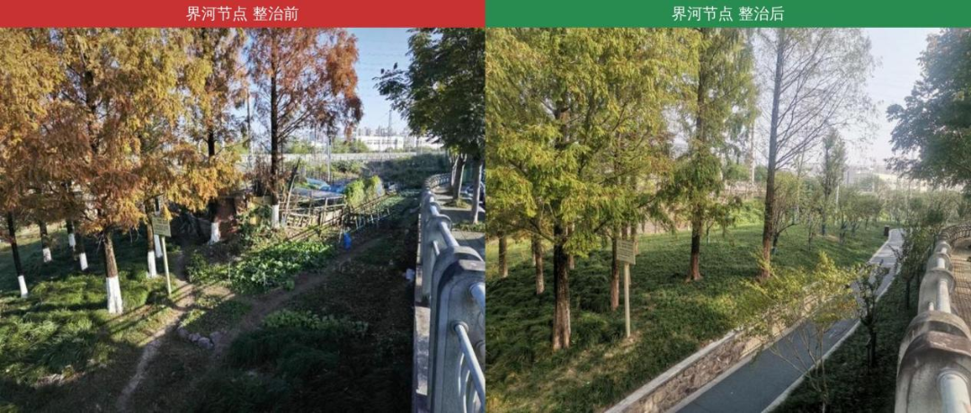 图片 8.png
